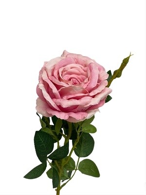 Rose Big Pink 73cmL