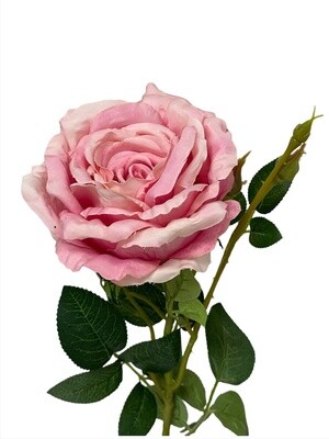 Rose Big Pink 73cmL