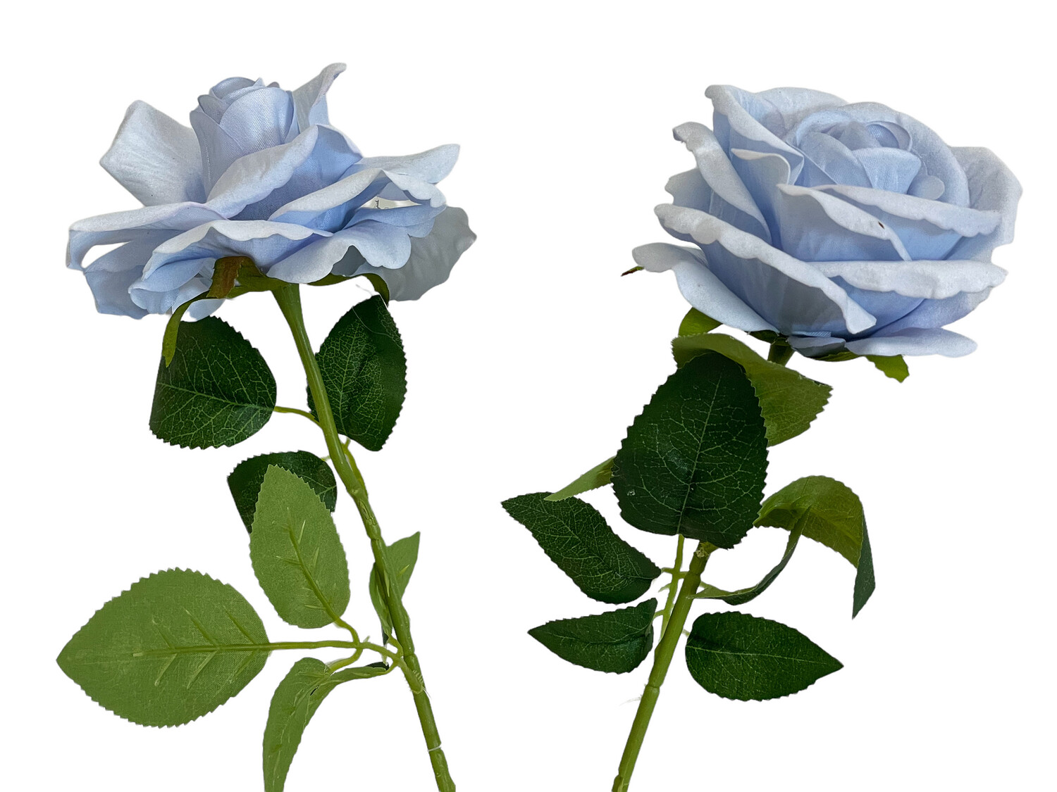 Rose Light Blue Velvet 50cmL
