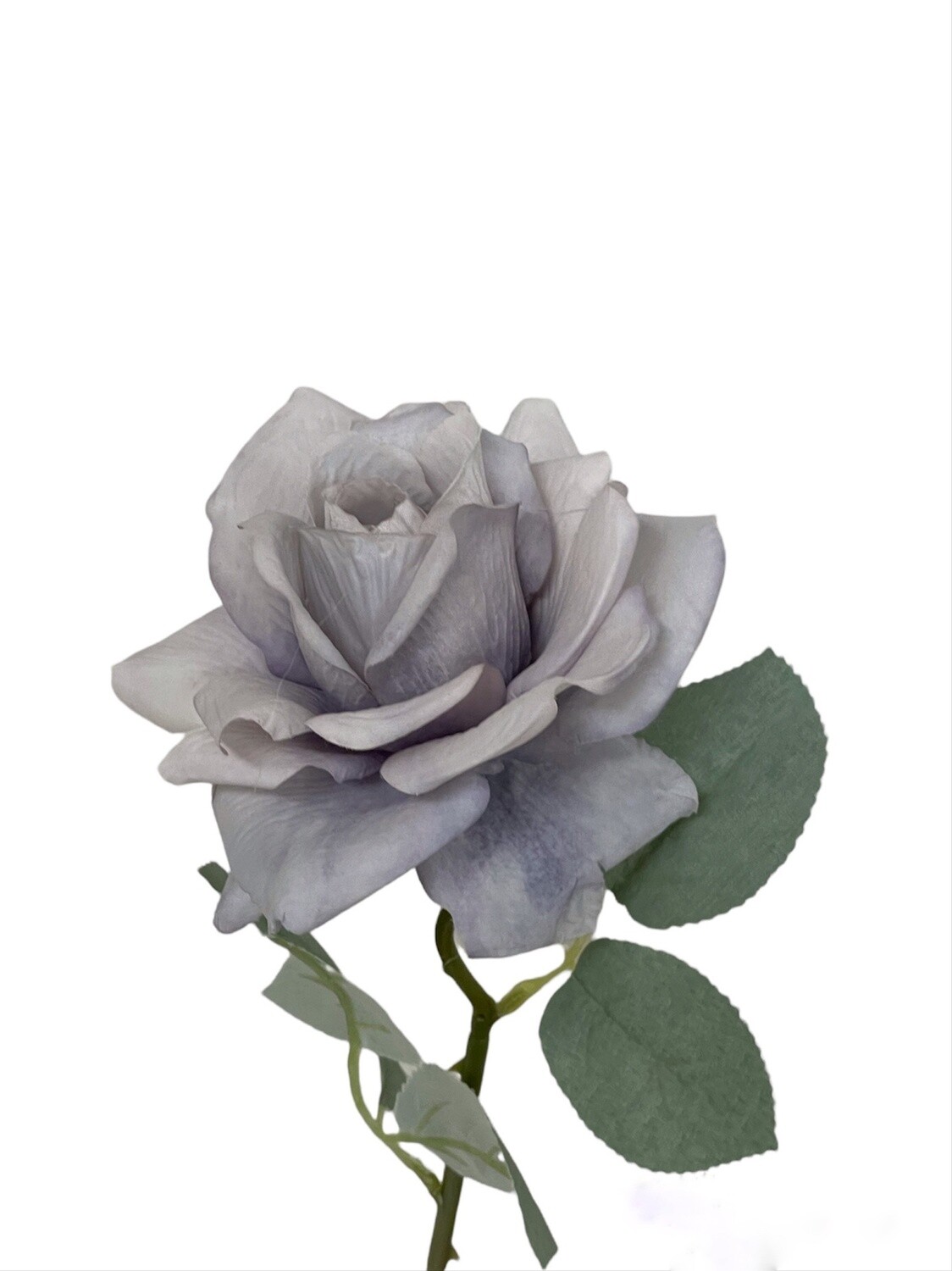 Rose Light Purple 50cmL