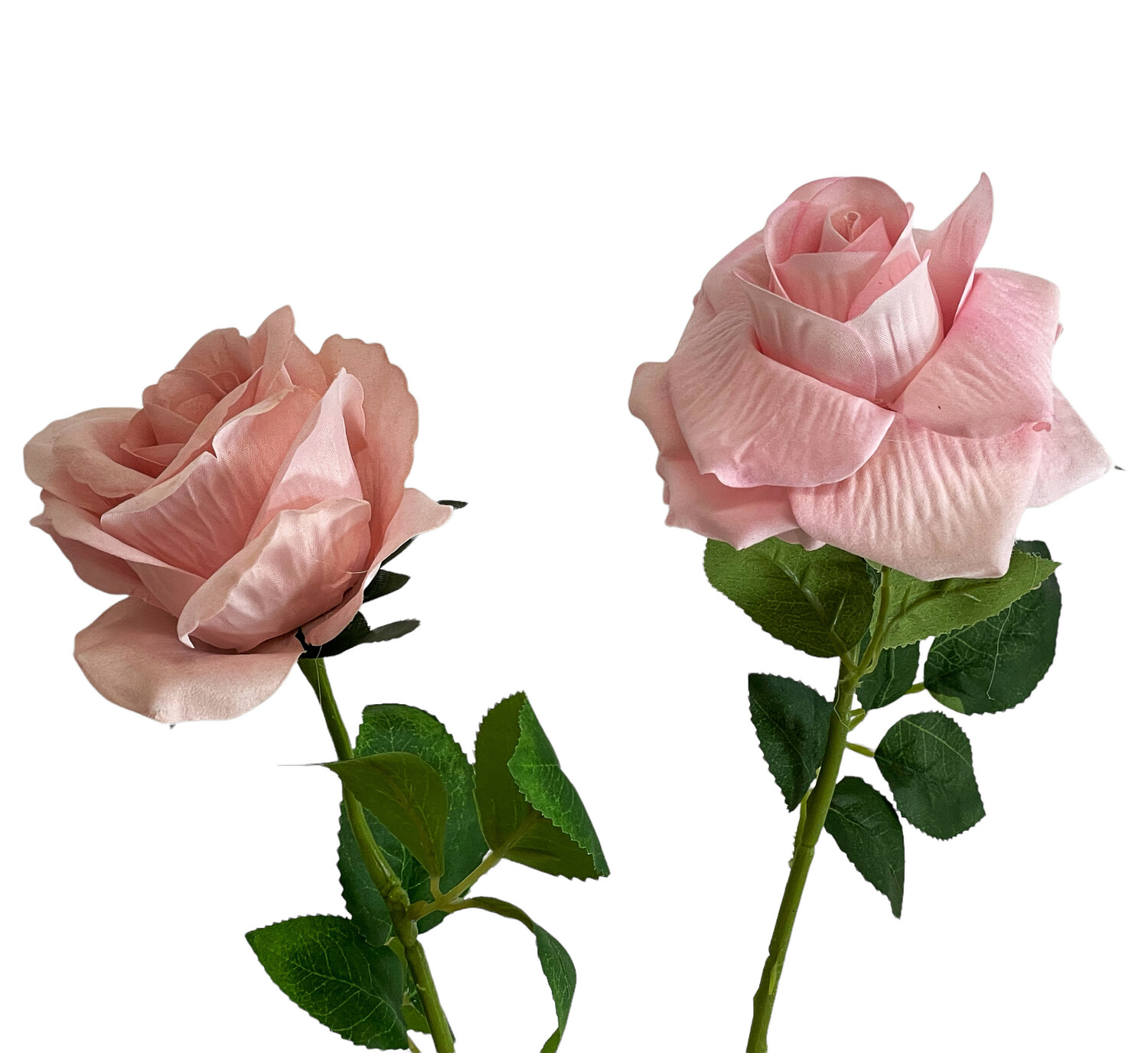 Rose Pink Baby Velvet 50cmL