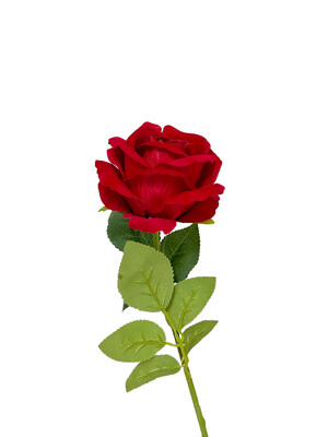 Rose Red Velvet 50cmL