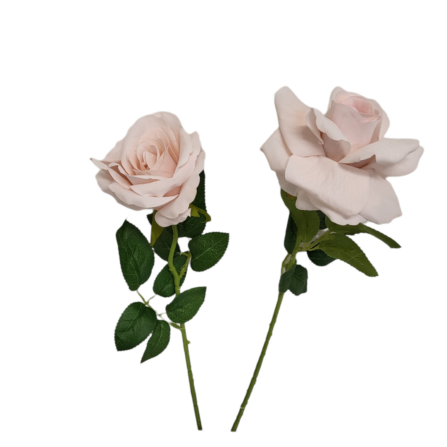 Rose Soft Pink Velvet 50cmL