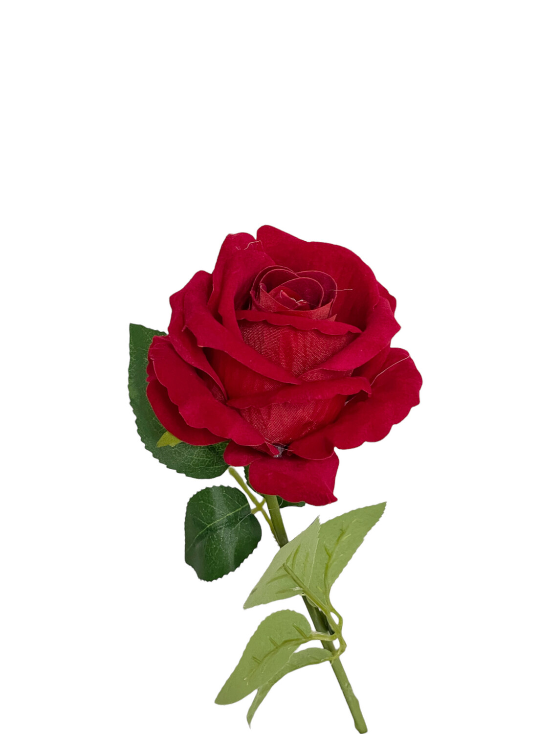 Rose Red Velvet 50cmL