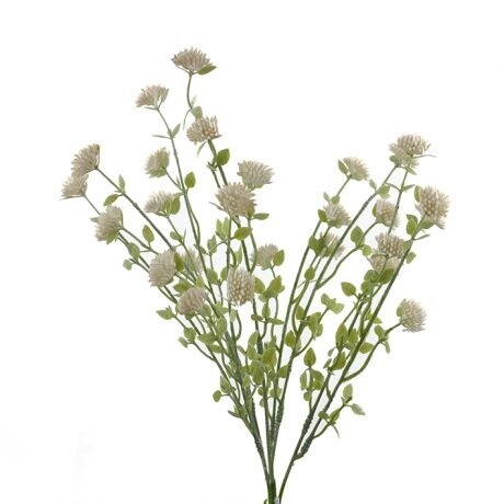 Seeded Spray Cream 42cmL