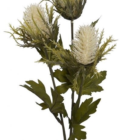 Thistle Spray Cream 78cmL