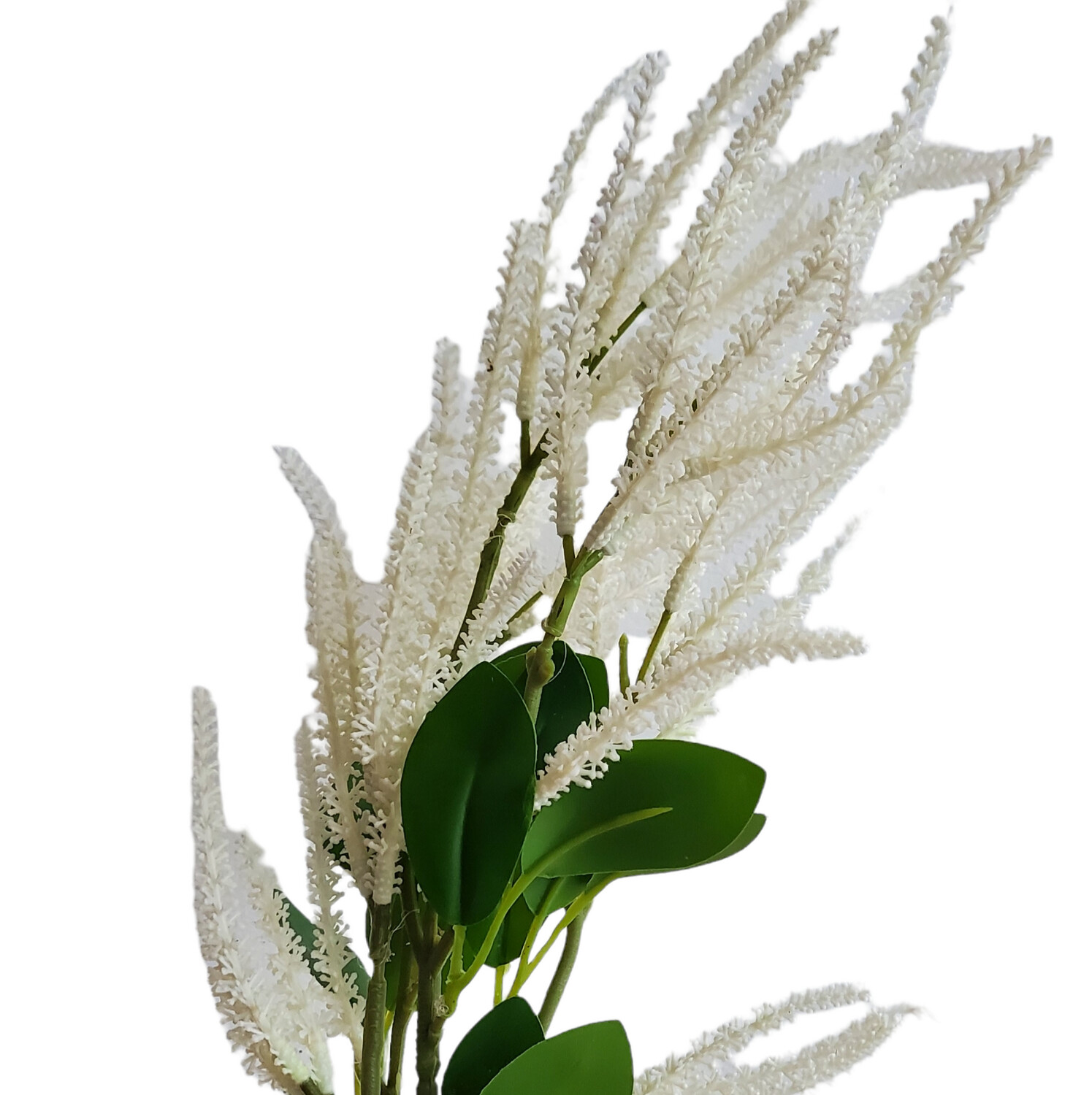 Astilbe Spray Cream 62cmL