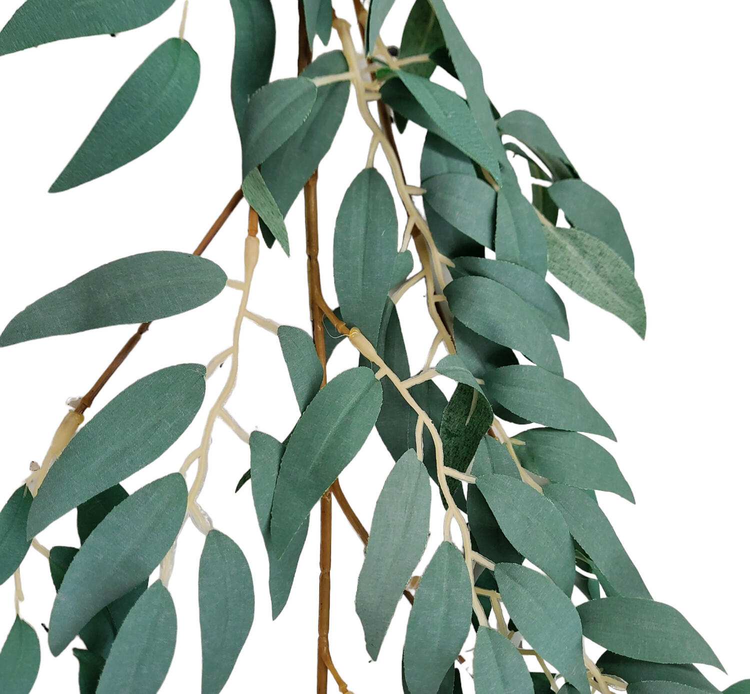 Ruscus Garland 170cmL