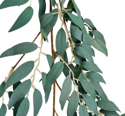 Ruscus Garland 170cmL