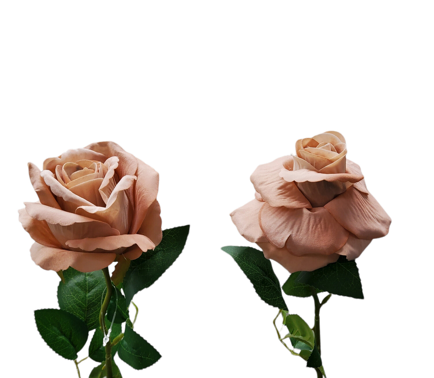 Rose Dusty Toffee Velvet 50cmL