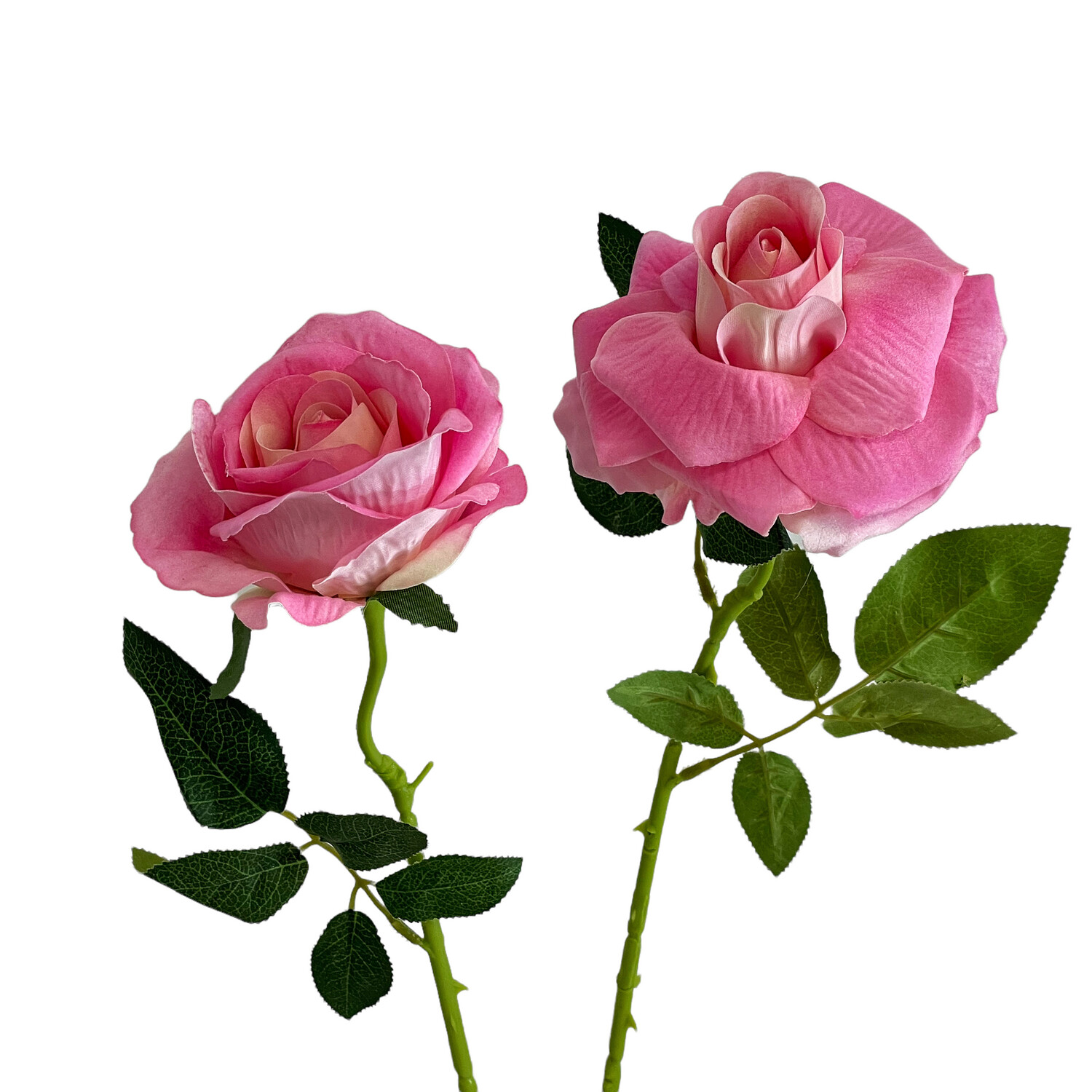 Rose Pink Velvet 50cmL