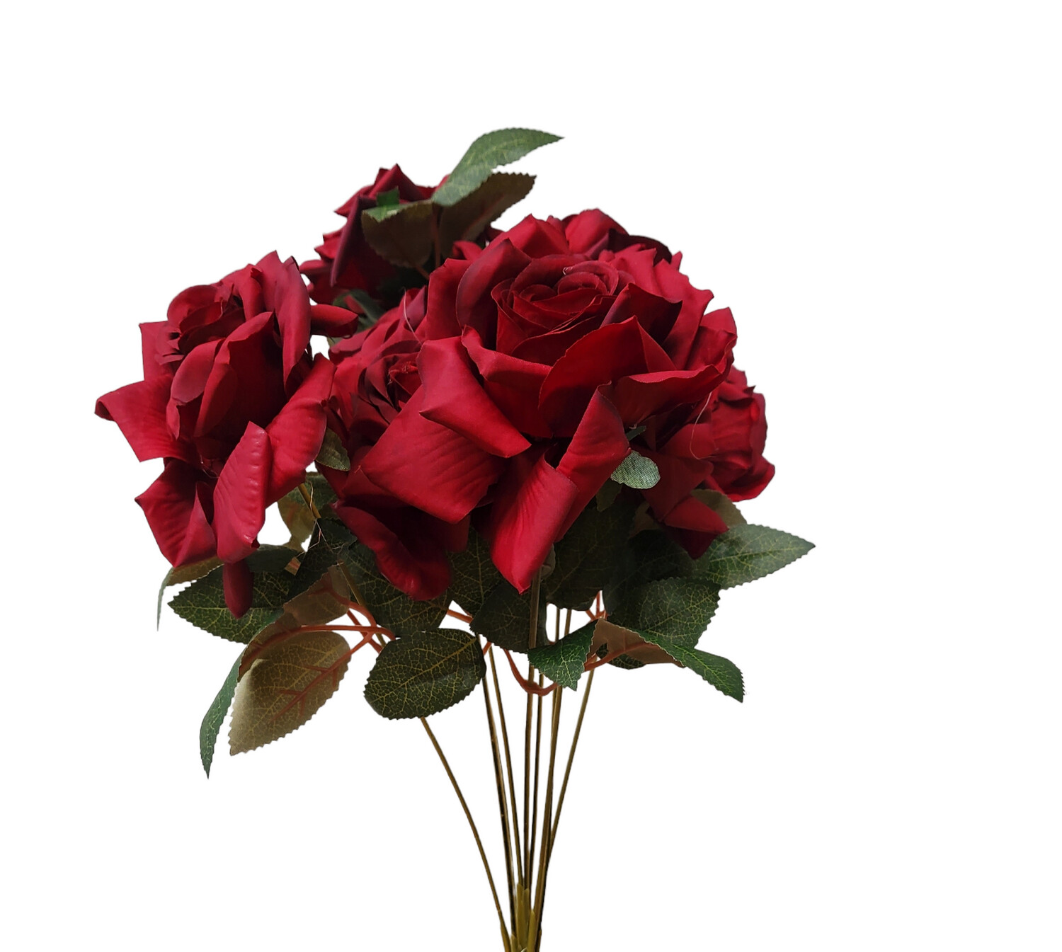 Rose Bush Red 9H 43cmL