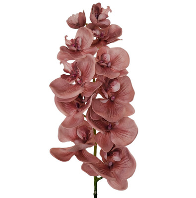 Orchid Mauve 95cmL