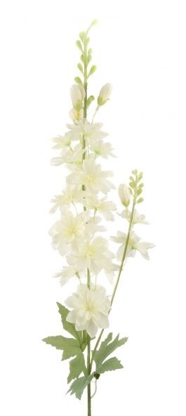 Stock Stem Cream 85cmL