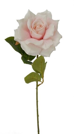 Rose Single Stem Light Pink 50cmL