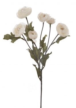 Ranunculus Mini Spray Ivy 67cmL