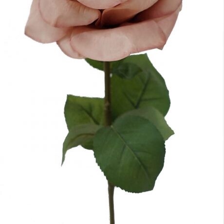 Rose Holland Pink 67cmL