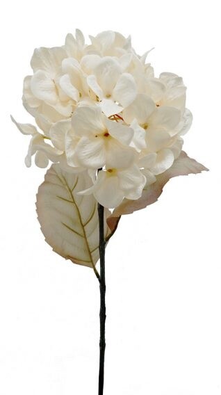 Hydrangea Stem Ivy 70cmL