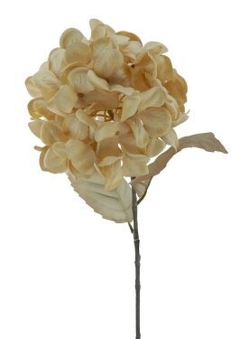 Hydrangea Stem Light Brown 70cmL