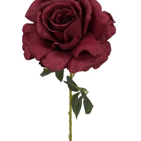 Rose Single Stem Burgundy 70cmL