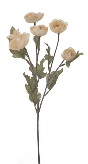 Ranunculus Mini Spray Light Brown 67cmL