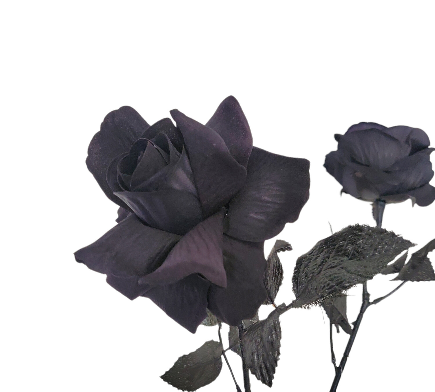 Rose Black Velvet 50cmL
