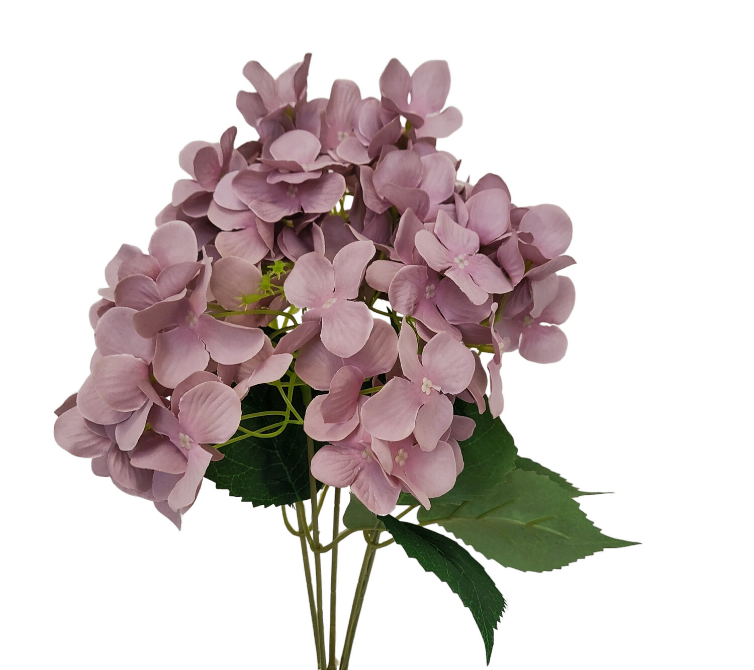 Hydrangea Bush Dusty Lilac 50cmL