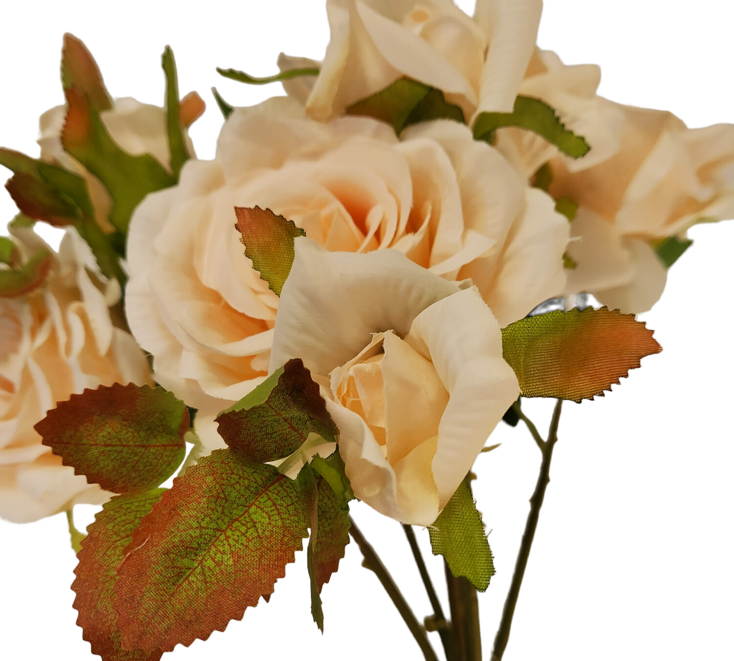 Rose Peach Bunch 7H 6B 35cmL