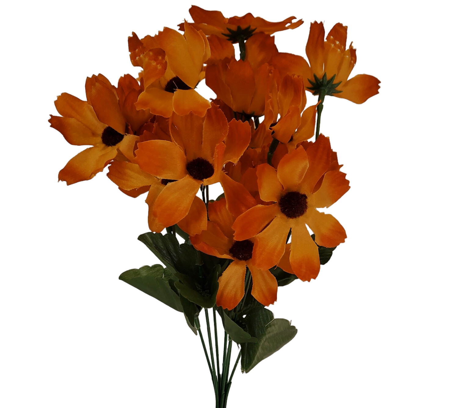 Cosmos Bunch Burnt Orange 34cmL