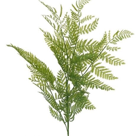Fern Spray Green 104cm