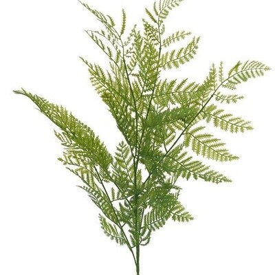 Fern Spray Green 104cm