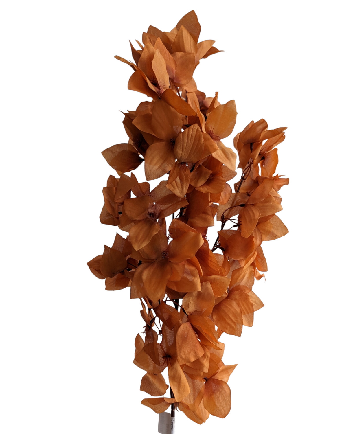Bougainvillea Glabra Spray Caramel 80cmL