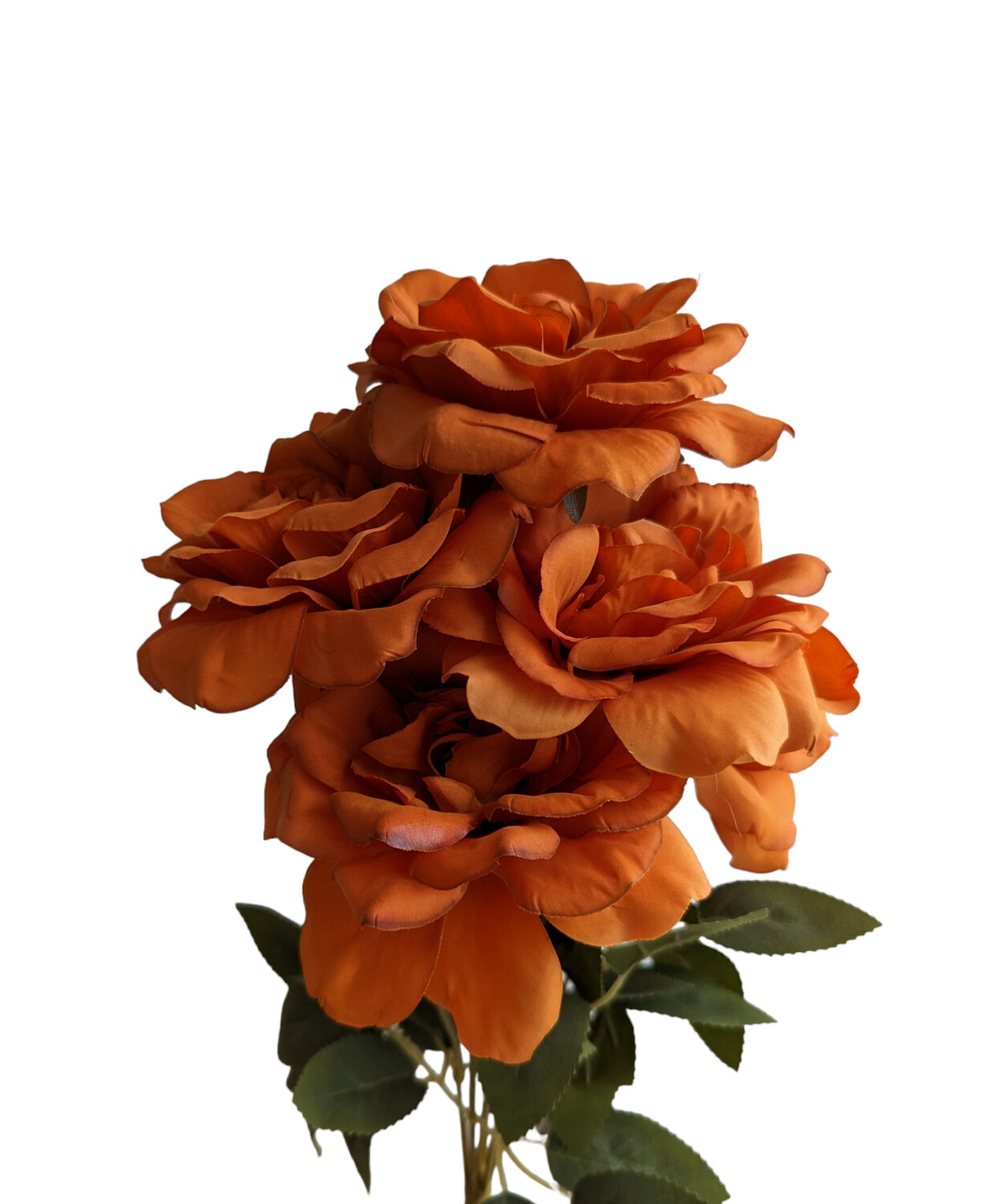 Rose-Camellia Bunch Burnt Orange 7H 40cmL