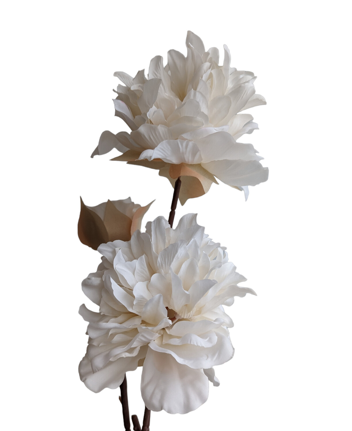 Peony Queen White 80cmL