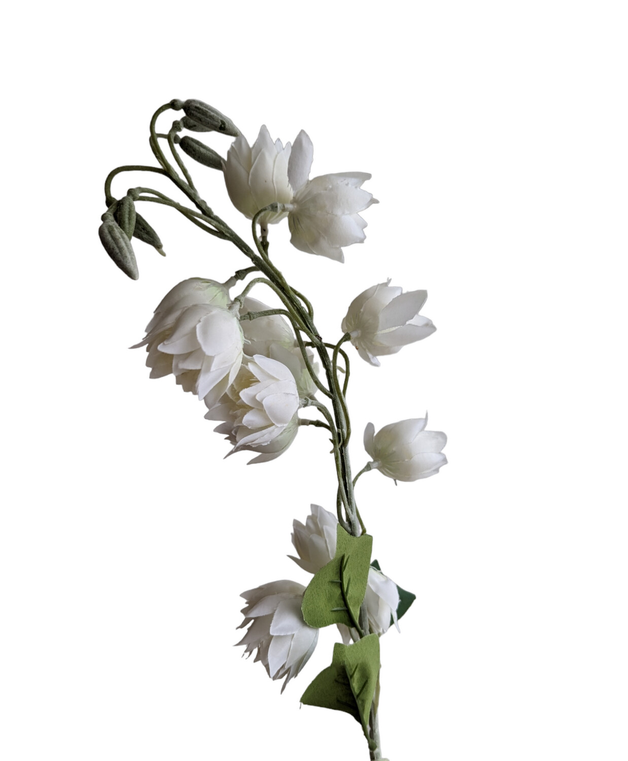 Protea Blushing Bride White 90cmL