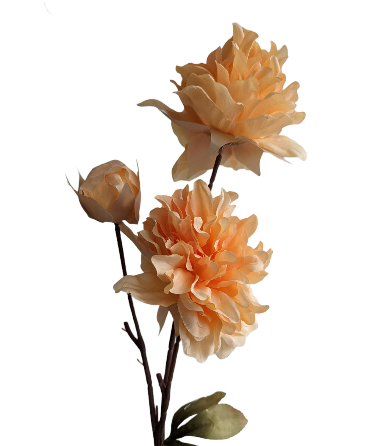 Peony Queen Orange 80cmL