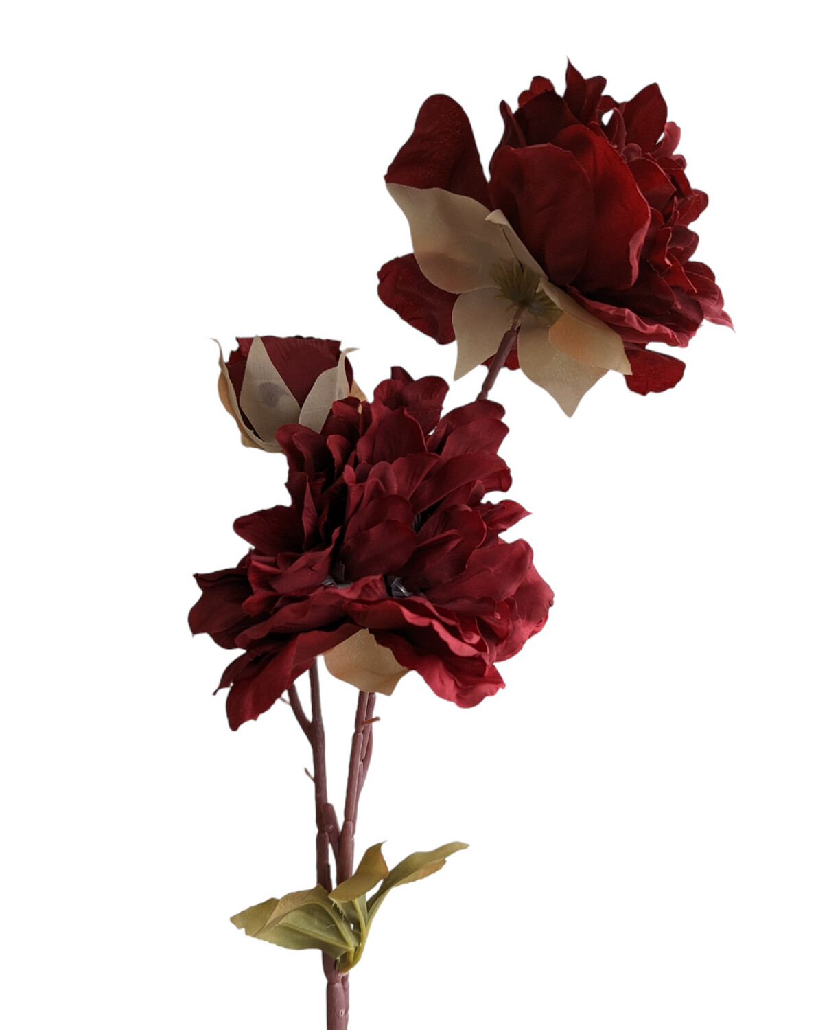 Peony Queen Red 80cmL