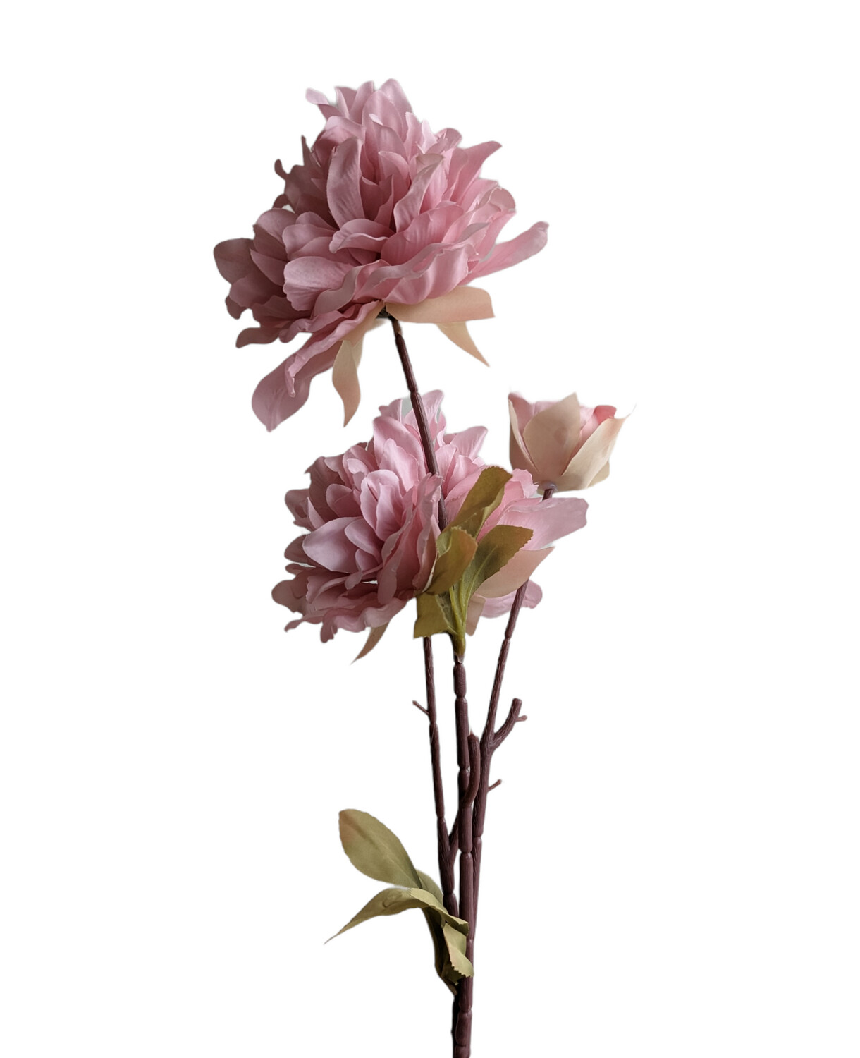 Peony Queen Pink 80cmL