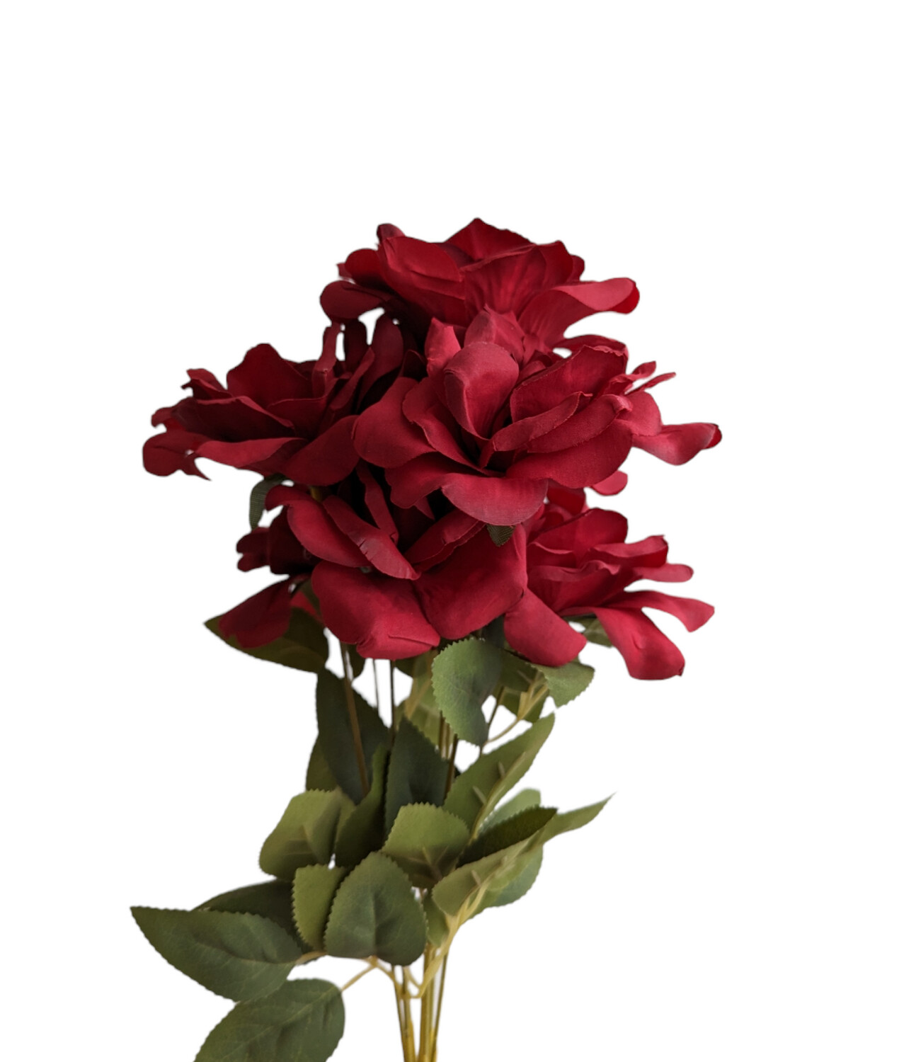 Rose-Camelia Bunch Red 7H 40cmL