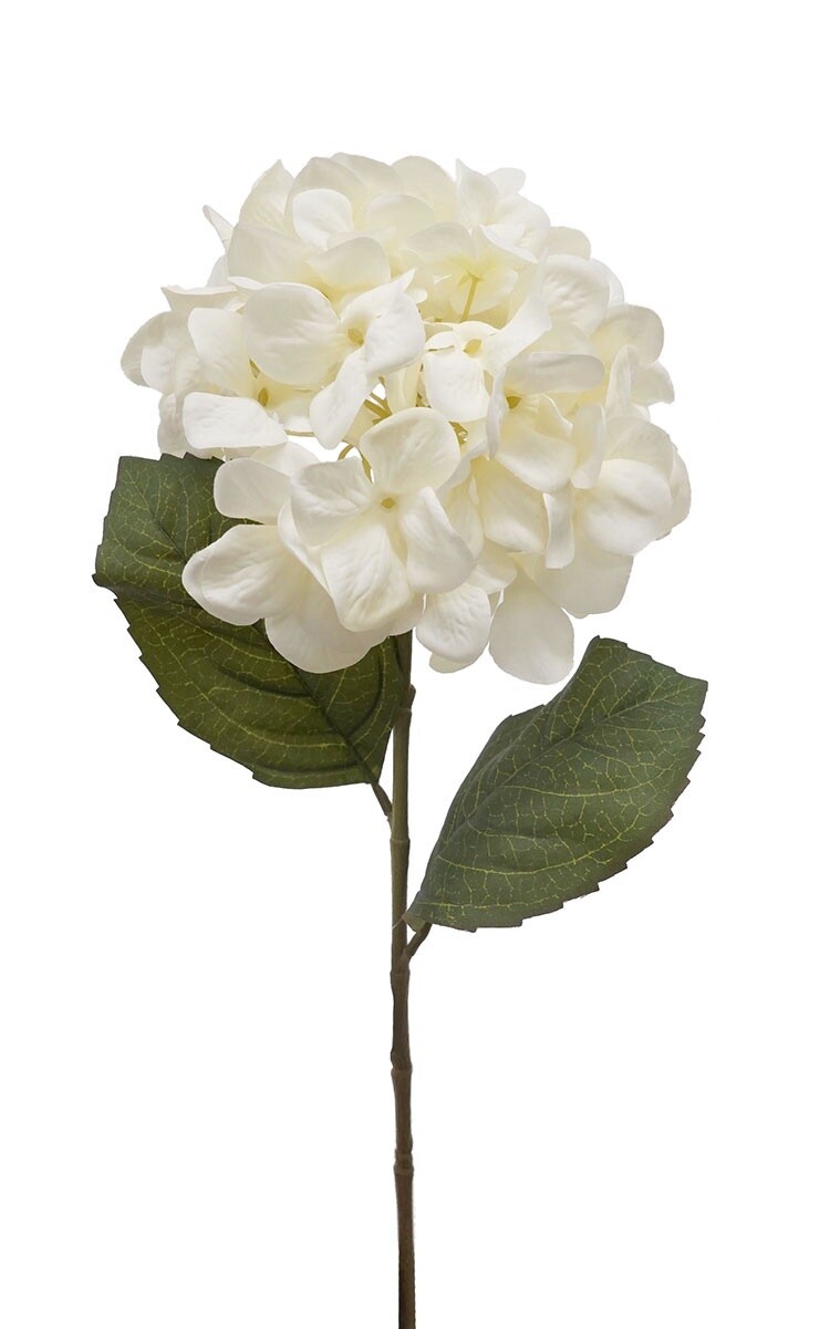 Hydrangea Stem Cream 70cmL