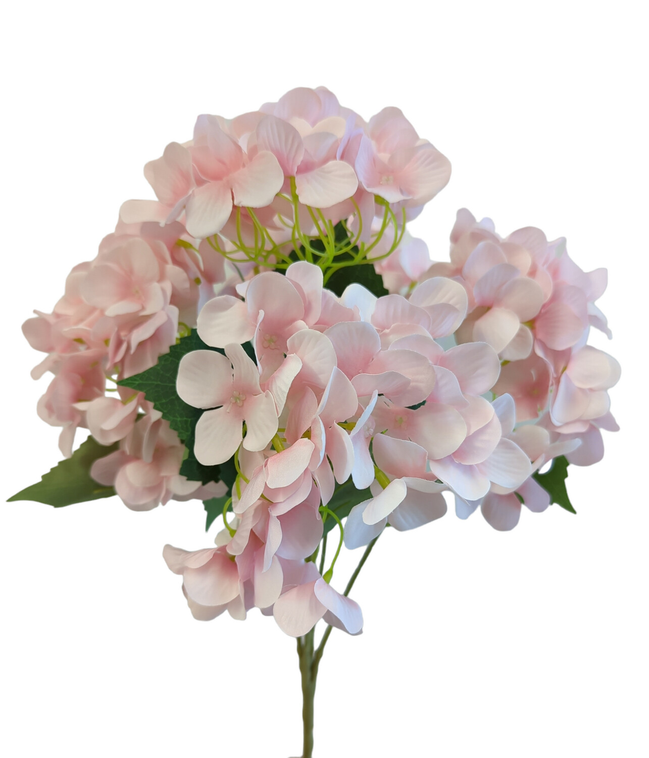 Hydrangea Light Pink 5H Bunch 50cmL
