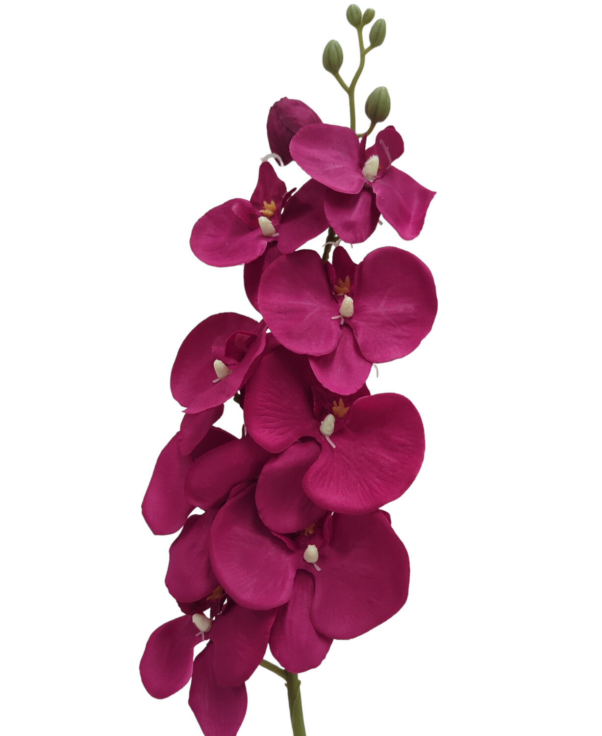 Orchid Phalaenopsis  Magenta 98cmL 8 Heads 6 Buds