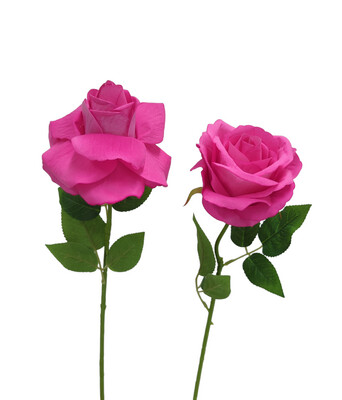 Rose Hot Pink 50cmL
