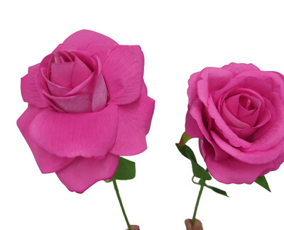 Rose Hot Pink 50cmL