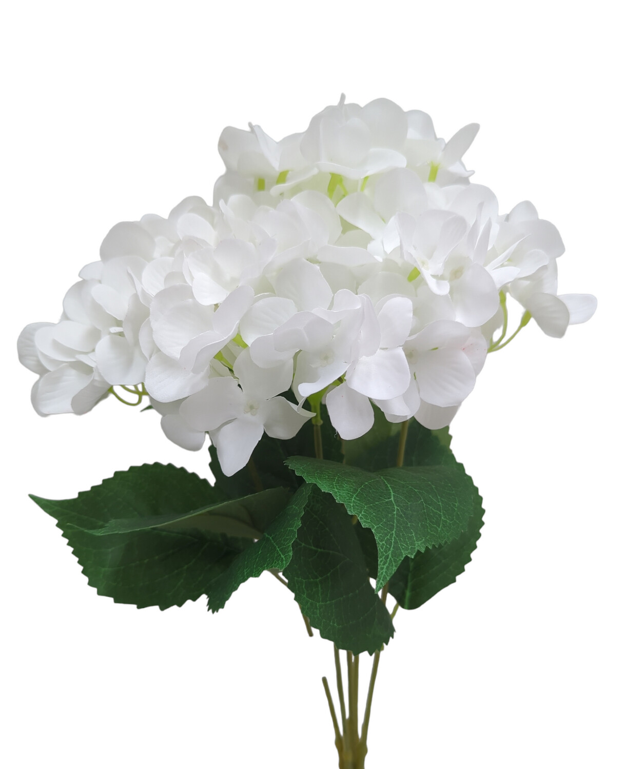 Hydrangea Bush White 50cmL