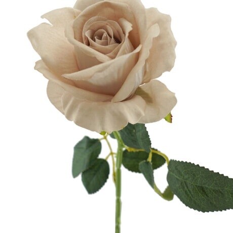 Rose Velvet Stem Nude 51cmL
