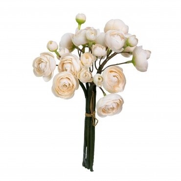 Ranunculus Bundle Champagne 28cmL