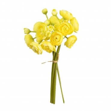 Ranunculus Bundle Yellow 28cmL
