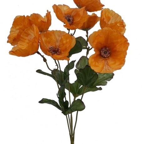 Poppy Bush Orange 37cmL