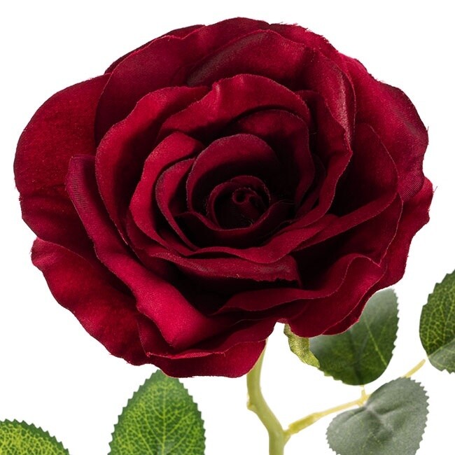 Rose Sophie Stem Dark Red 51cmL